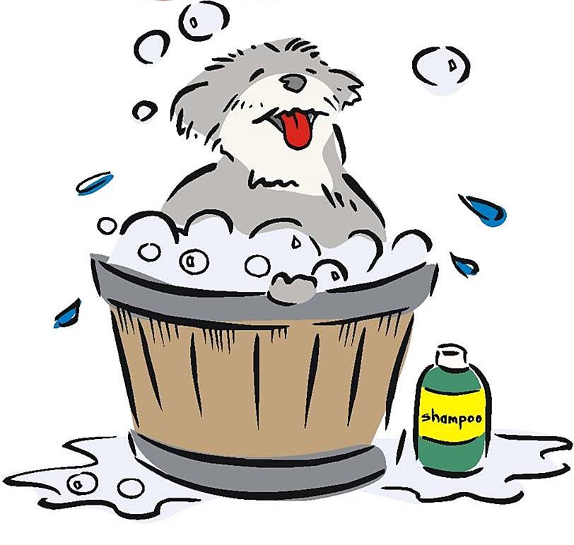 Hund in der Wanne